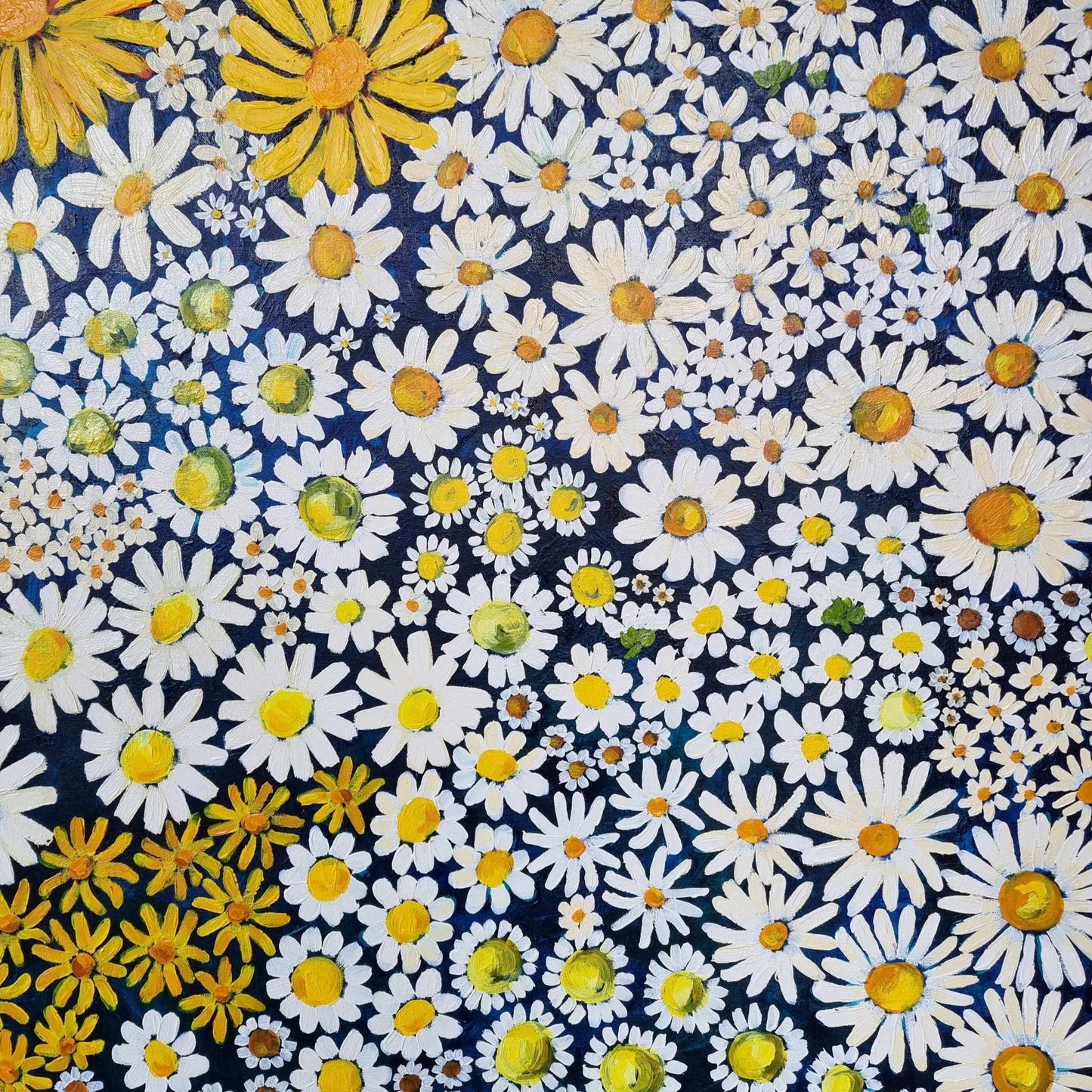 Daisy Days ~ FINE ART PRINT ~ limited edition