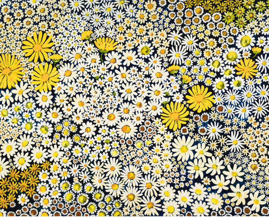 Daisy Days ~ FINE ART PRINT ~ limited edition