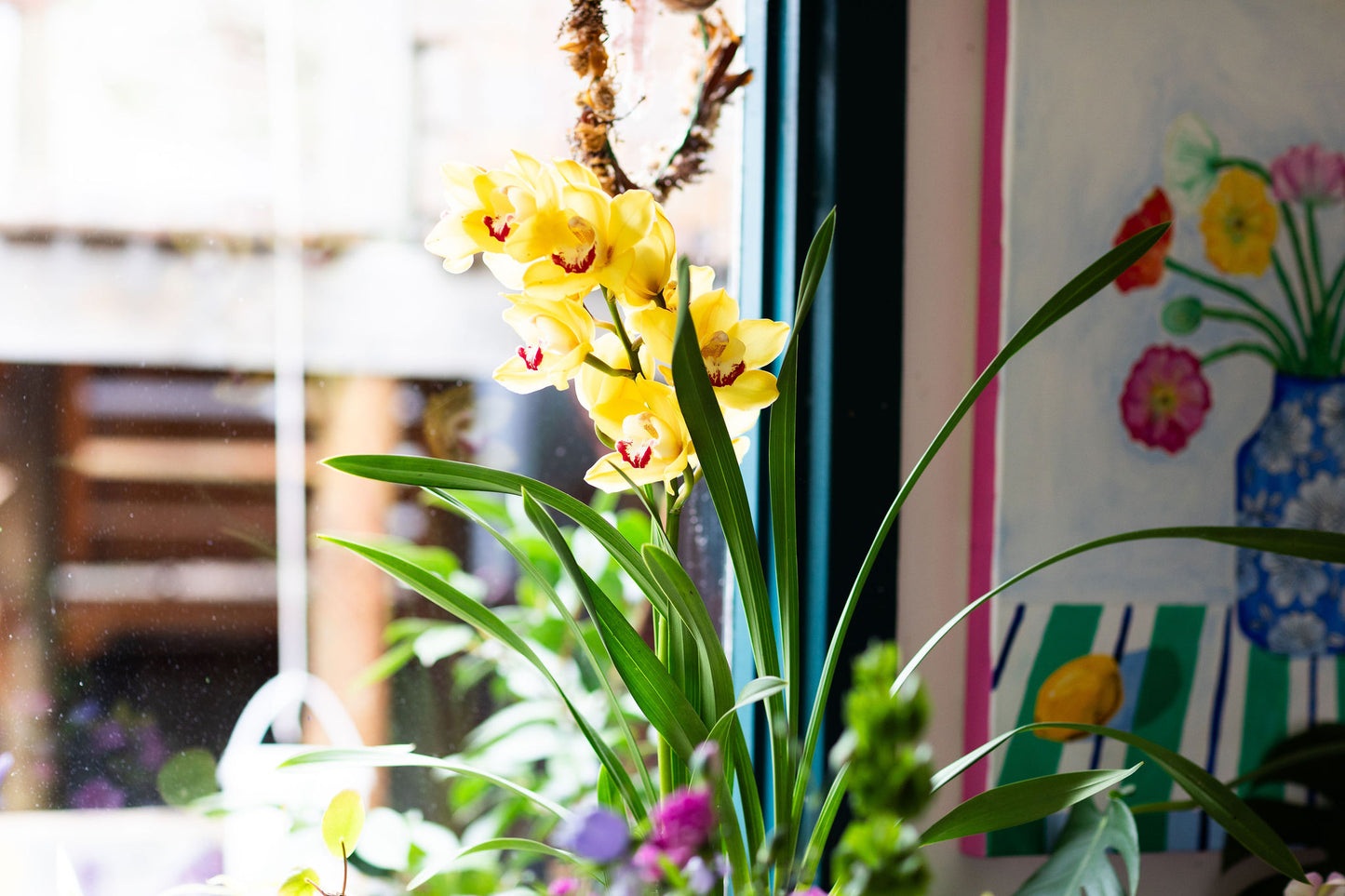 Winter Orchids
