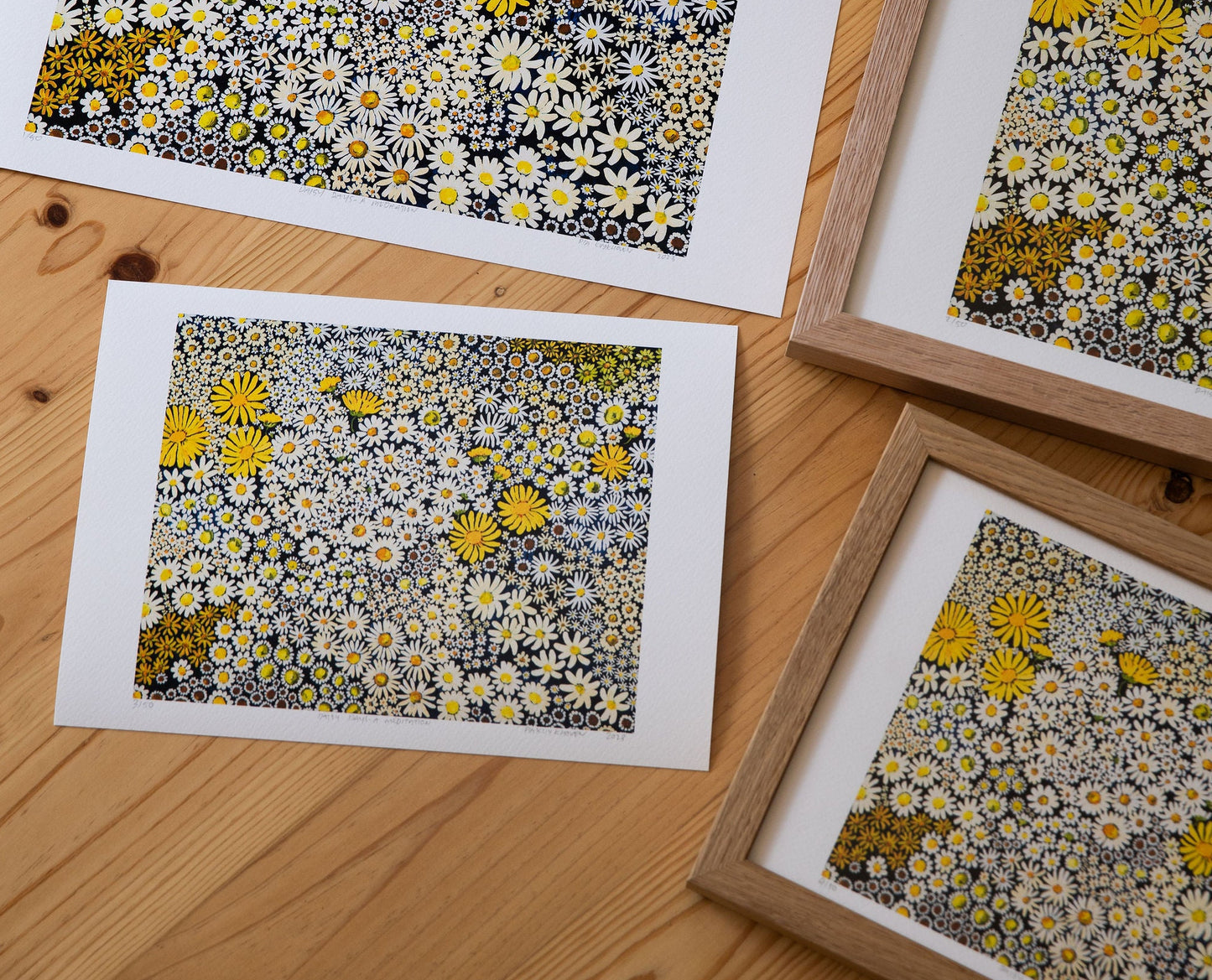 Daisy Days ~ FINE ART PRINT ~ limited edition