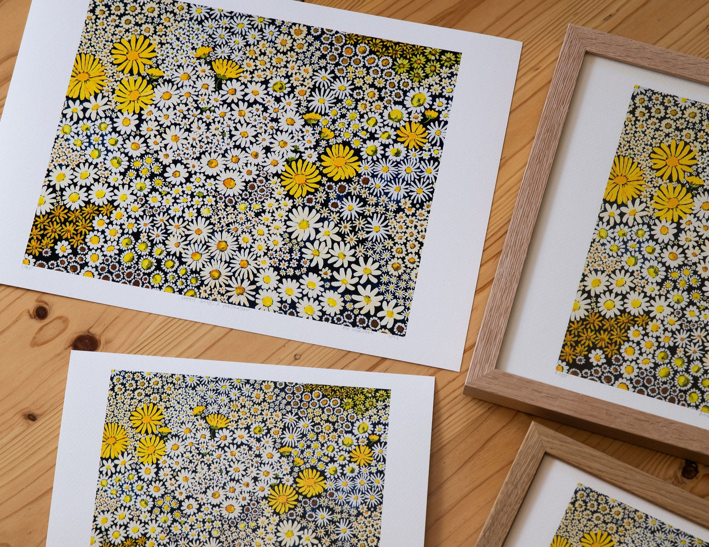 Daisy Days ~ FINE ART PRINT ~ limited edition