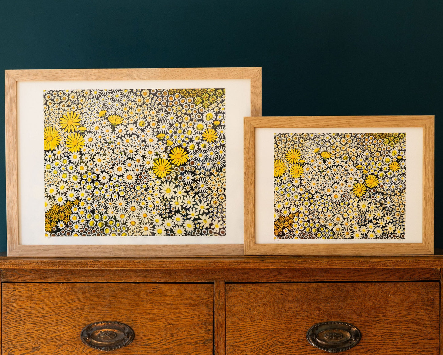 Daisy Days ~ FINE ART PRINT ~ limited edition