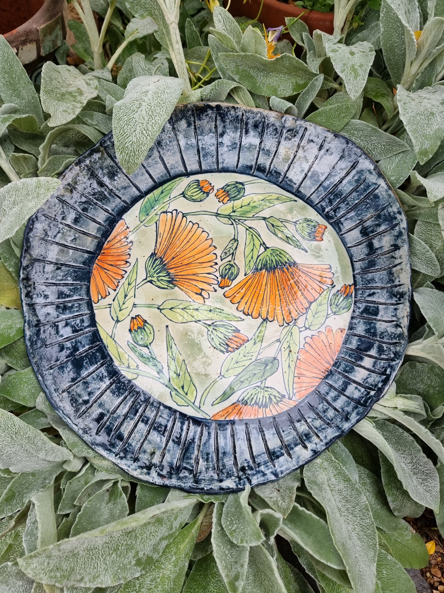 Calendula share plate